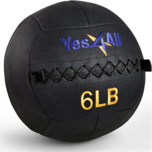 Yes4All Wall Ball, Soft Leather Weighted Iron Sand Med Ball for Dynamic Multifunctional Exercise, 6lbs - 30lbs